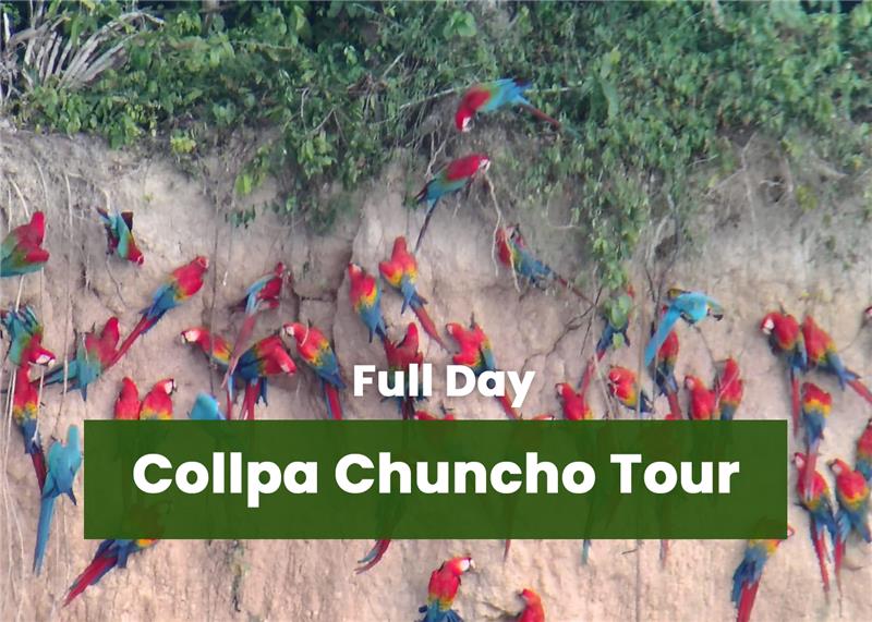 tambopata-jungle-explorer-1